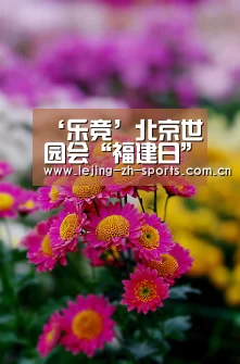 乐竞
