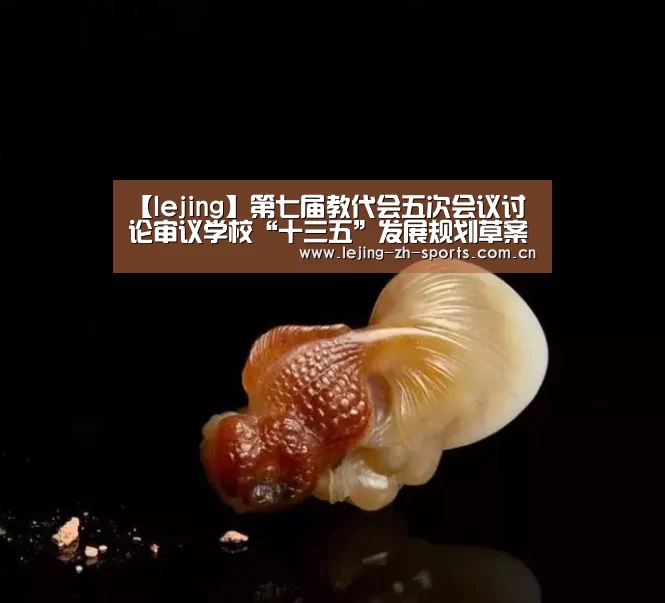 【lejing】第七届教代会五次会议讨论审议学校“十三五”发展规划草案(图2) 乐竞
