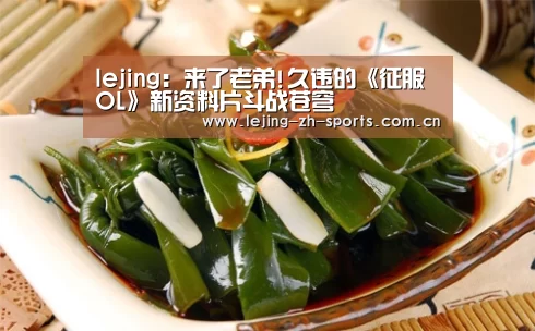 lejing:来了老弟!久违的《征服OL》新资料片斗战苍穹(图1) 乐竞官网